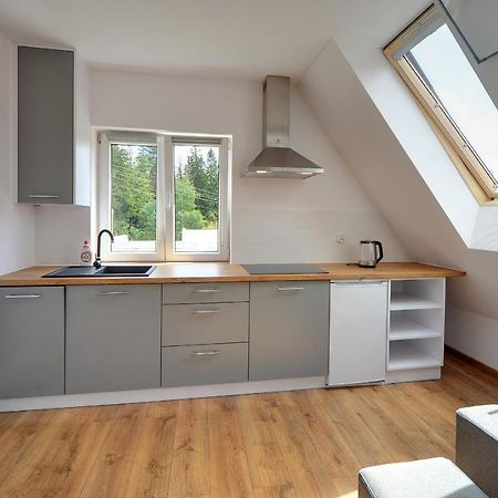 Mega Widok Apartment Szklarska Poreba Luaran gambar