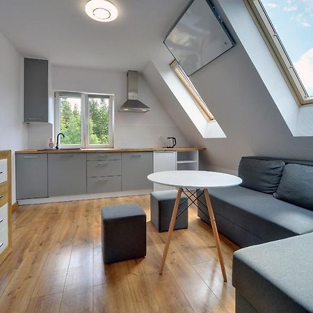 Mega Widok Apartment Szklarska Poreba Luaran gambar